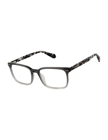 Superdry SDOM012T Eyeglasses Fin de série