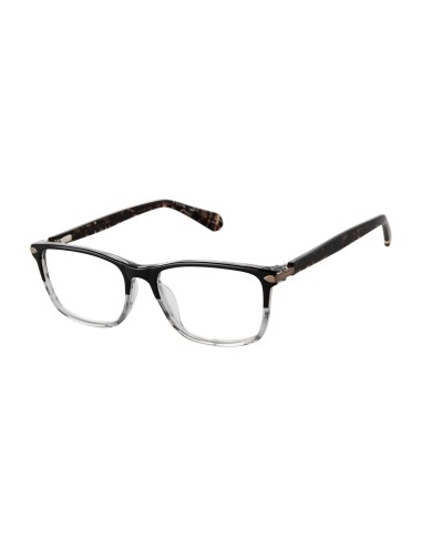 Superdry SDOM016T Eyeglasses sur le site 