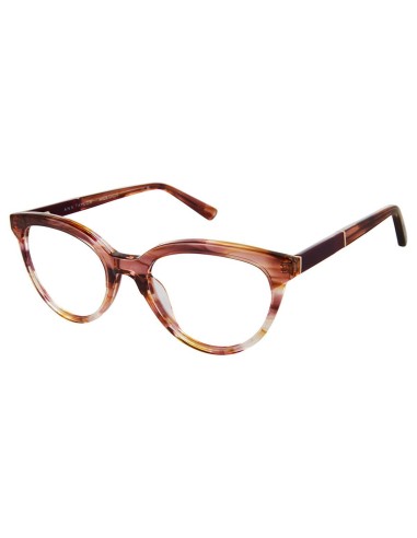 Ann Taylor TYAT348 Eyeglasses prix pour 