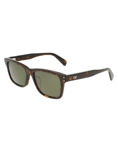 Salvatore Ferragamo SF1039SLB Sunglasses Amélioration de cerveau avec