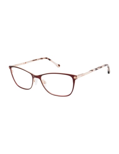 Buffalo by David Bitton BW504 Eyeglasses de technologie