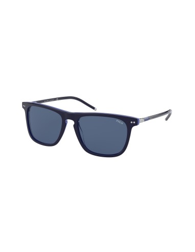 Polo 4168 Sunglasses en linge