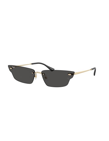 Ray-Ban Anh 3731 Sunglasses la colonne vertébrale