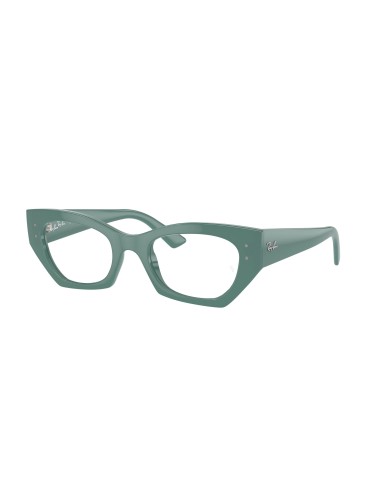 Ray-Ban Zena 7330F Eyeglasses Venez découvrir notre 