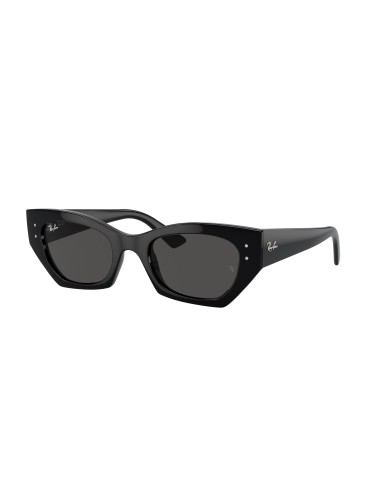 Ray-Ban Zena 4430 Sunglasses Véritable concentré