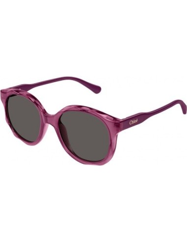 Chloe CC0019S Sunglasses france