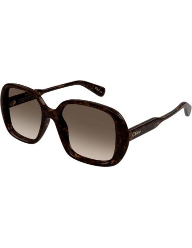 Chloe CH0222S Sunglasses l'évolution des habitudes 