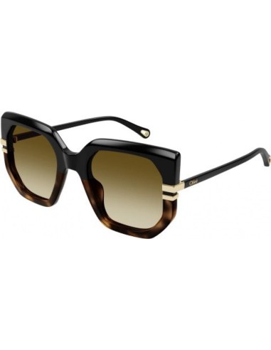 Chloe CH0240S Sunglasses Dans la société mordern