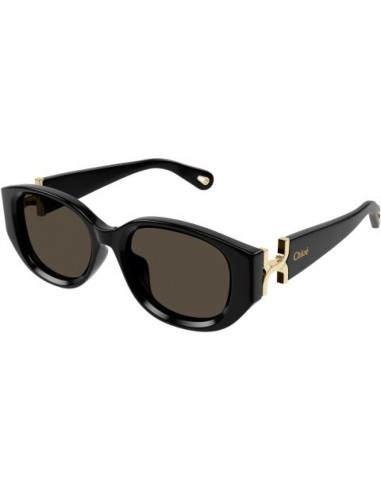 Chloe CH0237SK Sunglasses 2024