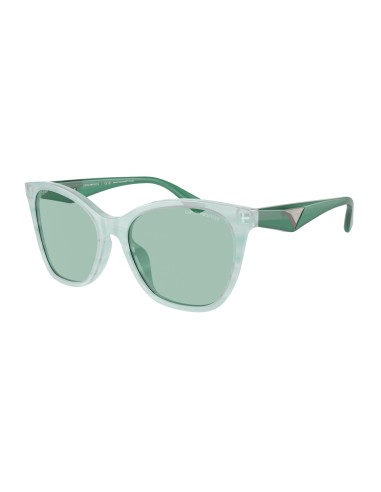 Emporio Armani 4222U Sunglasses shop