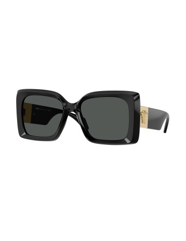 Versace 4467U Sunglasses Comparez plus de prix