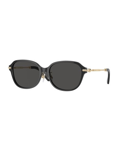 Burberry 4429D Sunglasses du meilleur 