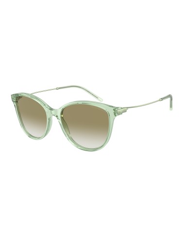 Emporio Armani 4220 Sunglasses Venez acheter