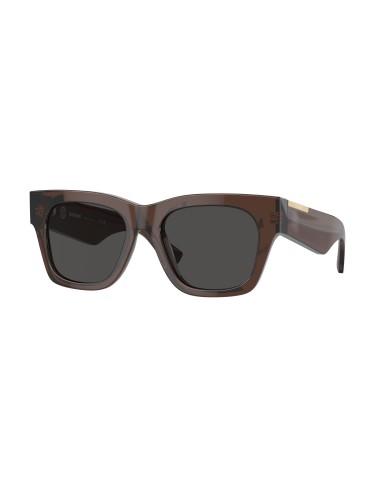 Burberry 4424F Sunglasses 2023