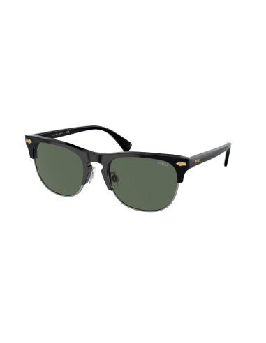 Polo 4213 Sunglasses Comparez plus de prix