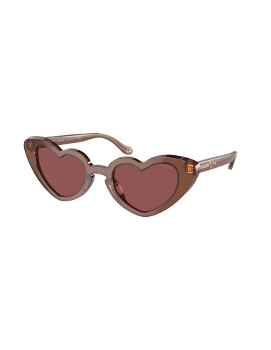 Coach Cr613 8394U Sunglasses solde