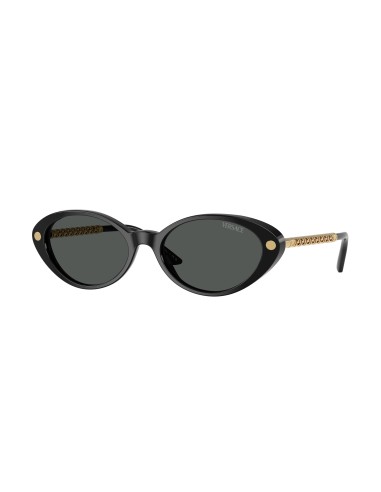 Versace 4469 Sunglasses Comparez plus de prix