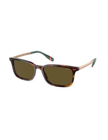 Polo 4212F Sunglasses shop