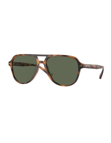 Brooks Brothers 5053U Sunglasses Par le système avancé 