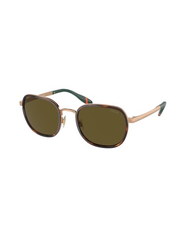 Polo 3151 Sunglasses pas chere