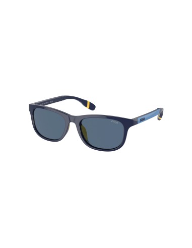 Polo Prep 9507U Sunglasses est présent 