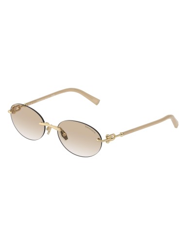 Tiffany 3104D Sunglasses En savoir plus