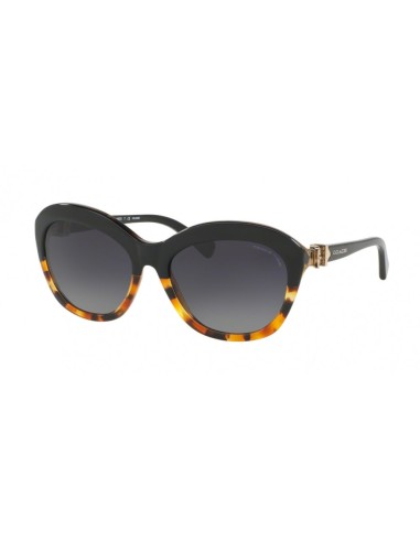 Coach L1600 8184 Sunglasses offre 