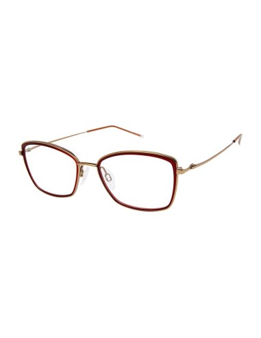 Charmant Pure Titanium TI16722 Eyeglasses une grave pollution 